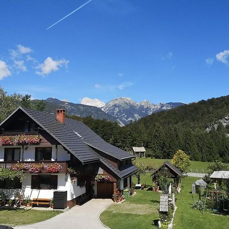 Apartmaji Prezelj Bohinj Bagian luar foto