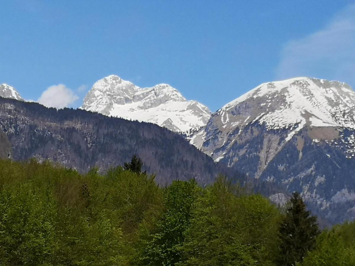 Apartmaji Prezelj Bohinj Bagian luar foto
