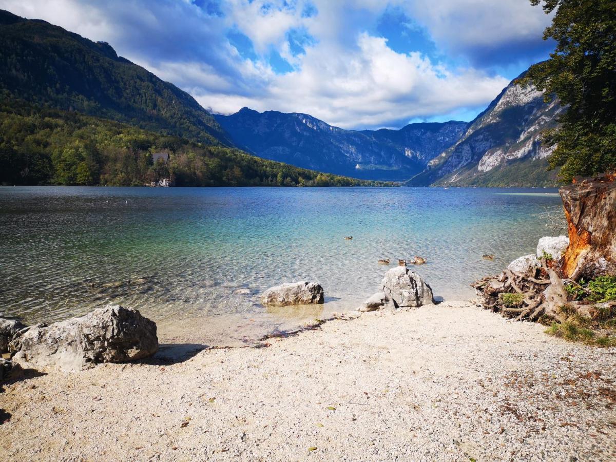 Apartmaji Prezelj Bohinj Bagian luar foto