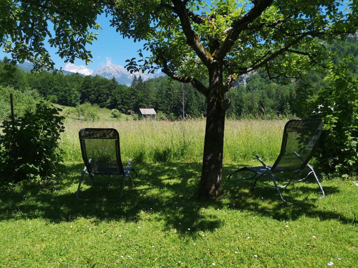 Apartmaji Prezelj Bohinj Bagian luar foto