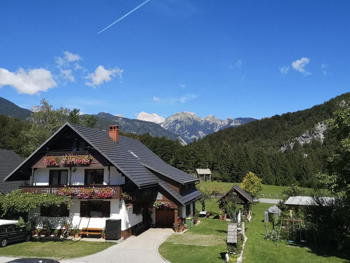Apartmaji Prezelj Bohinj Bagian luar foto