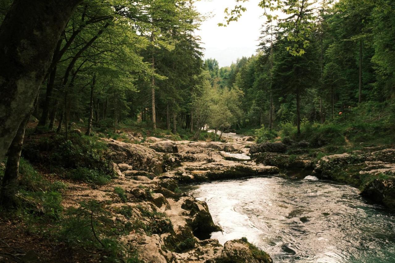 Apartmaji Prezelj Bohinj Bagian luar foto