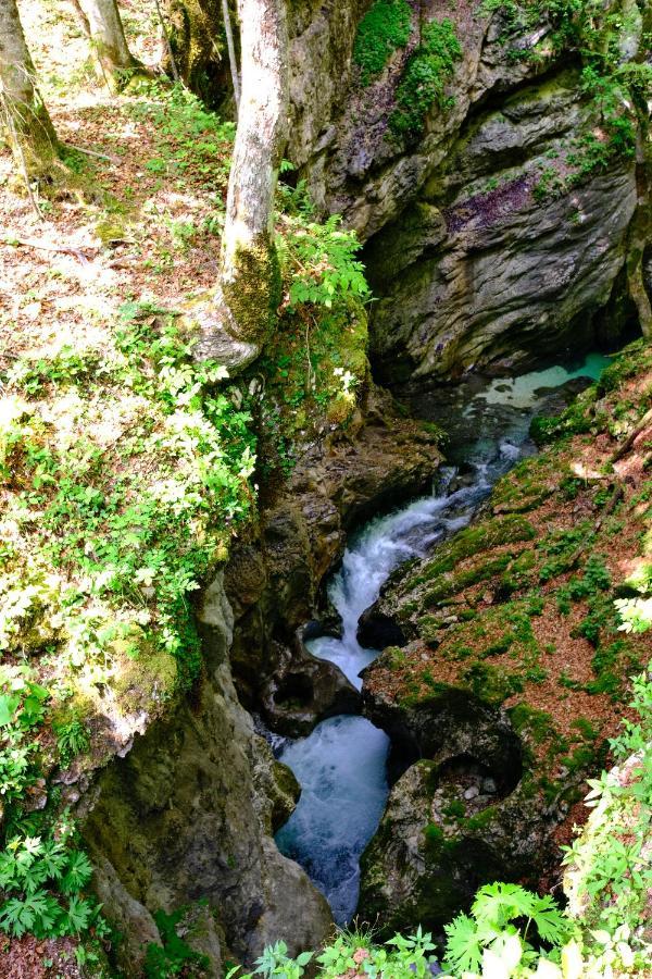 Apartmaji Prezelj Bohinj Bagian luar foto